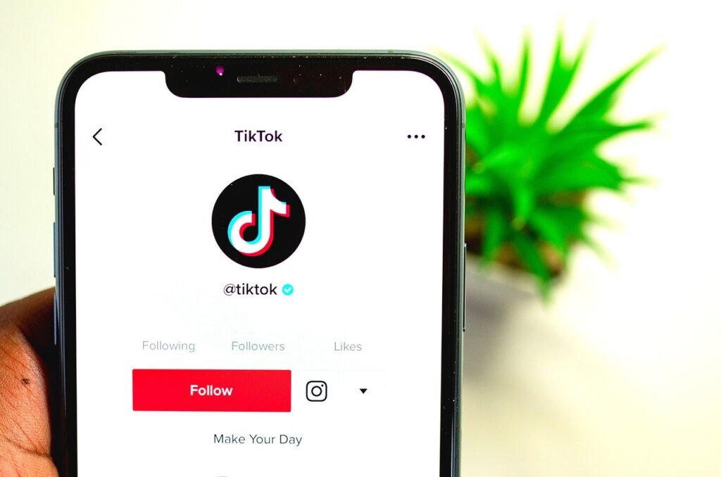 TikTokを使った副業の稼ぎ方とは？