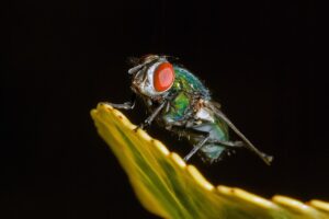 副業を始めて半年で月10万稼ぐための秘訣は？
