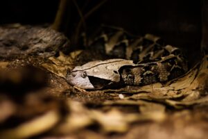 ポイントサイトの危険な見分け方は？