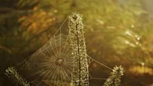 副業としてWebライターを始める初心者のための始め方は？